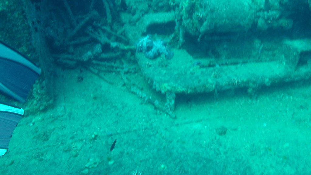 Original image